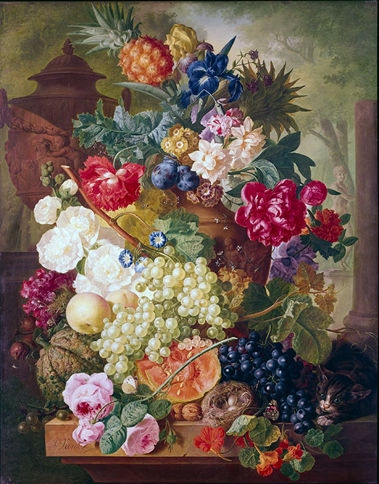 Anonimo — Os Jan van - sec. XVIII/ XIX - Natura morta con frutta, fiori, nido e gatto — insieme